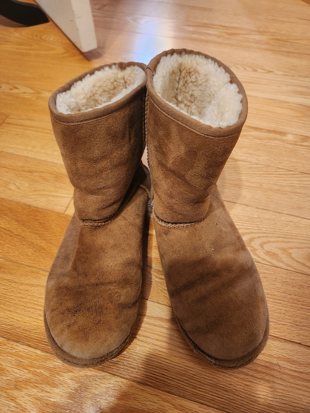 UGG Shearling-Lined Cozy Boot Interior in Natural Beige